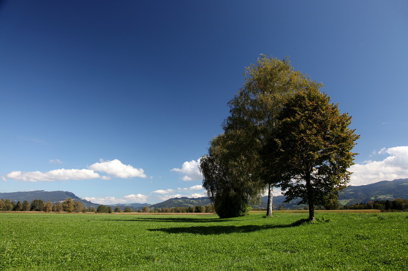 Ins Land schauen im September Bild 4