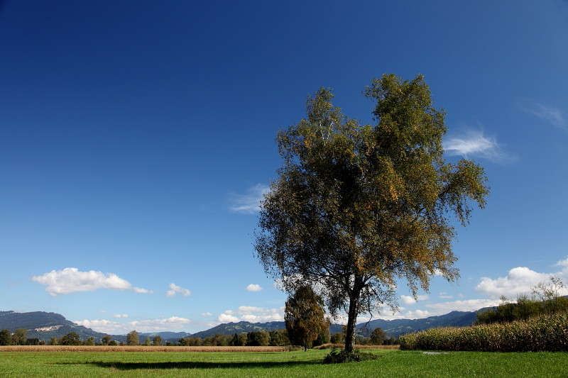 Ins Land schauen im September Bild 5