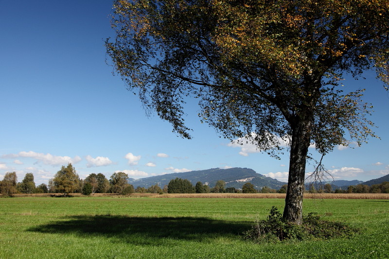 Ins Land schauen im September Bild 6