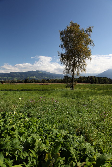 Ins Land schauen im September Bild 7