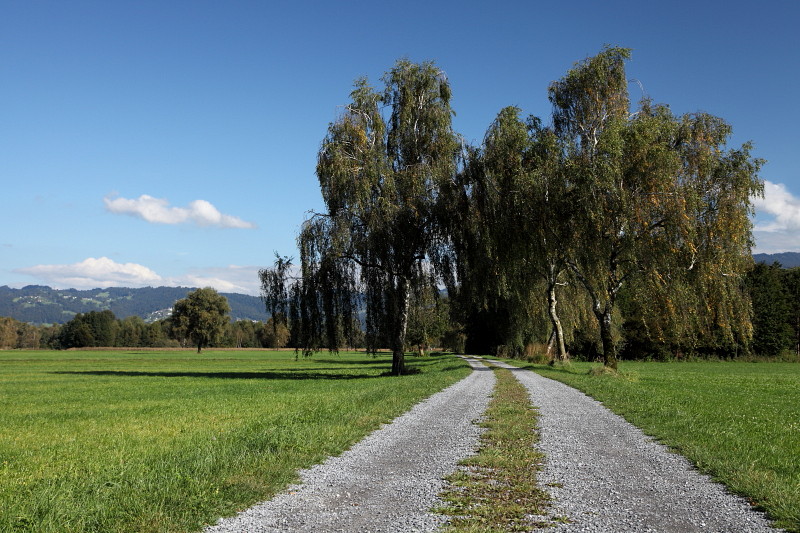 Ins Land schauen im September Bild 9