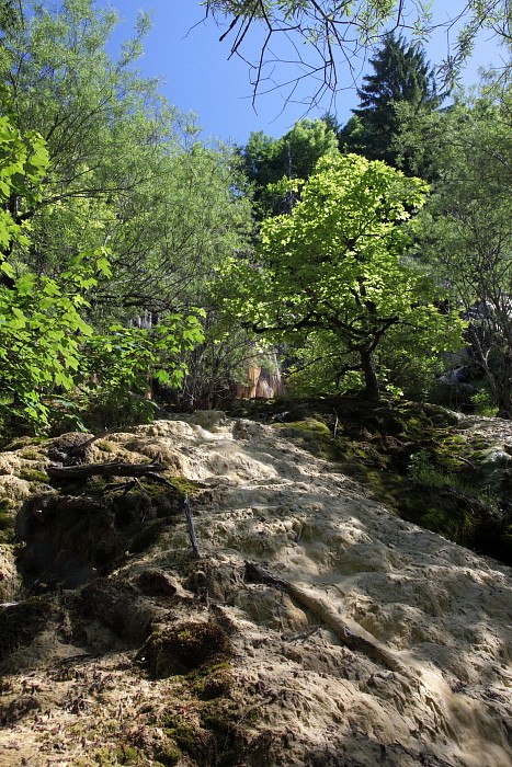 Quelltuff Lingenau Bild 8