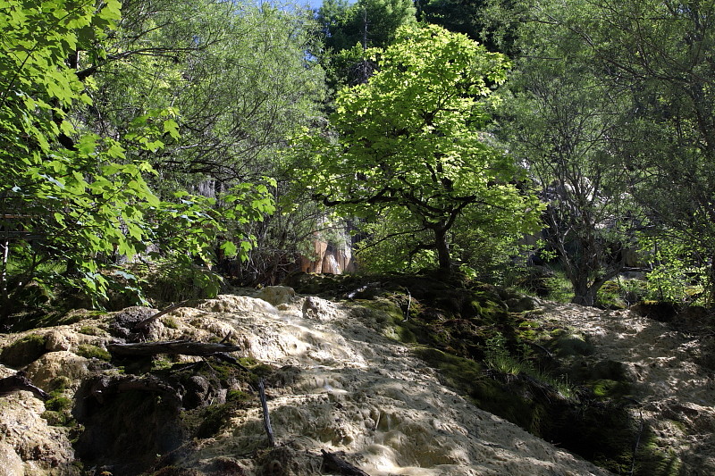 Quelltuff Lingenau Bild 9