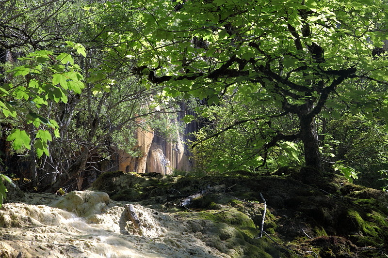 Quelltuff Lingenau Bild 10