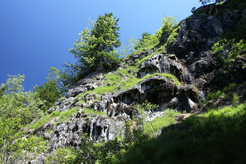 Quelltuff Lingenau Bild 11