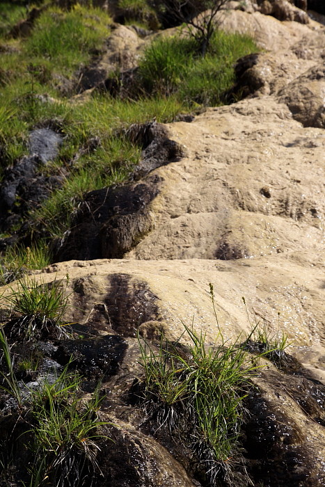 Quelltuff Lingenau Bild 15