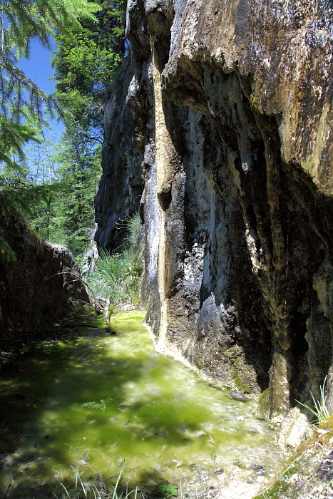 Quelltuff Lingenau Bild 19