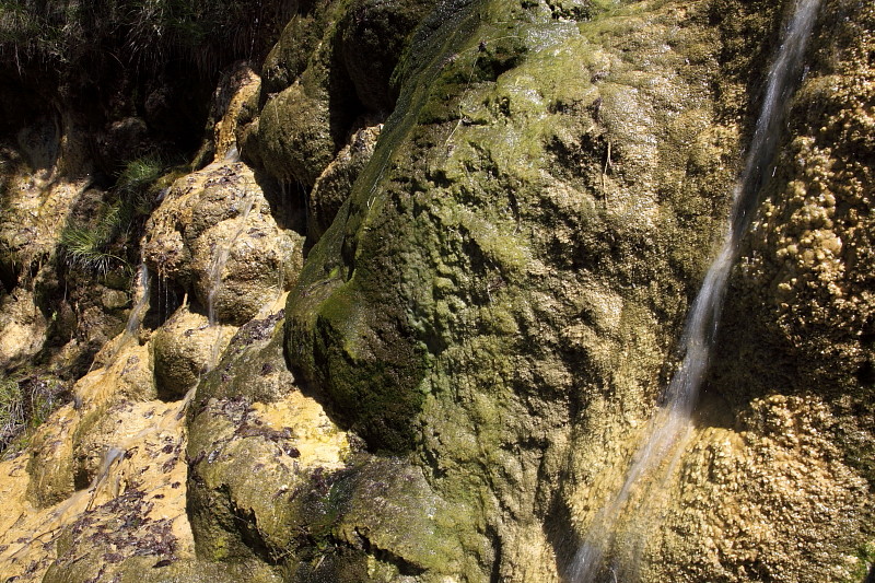 Quelltuff Lingenau Bild 22