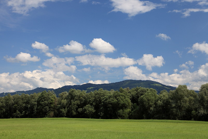 Riedlandschaften im Juni Bild 5