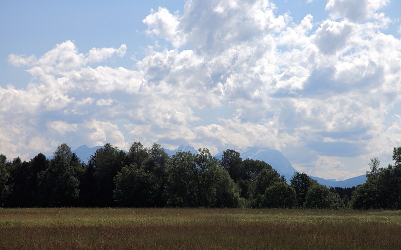 Riedlandschaften im Juni Bild 9