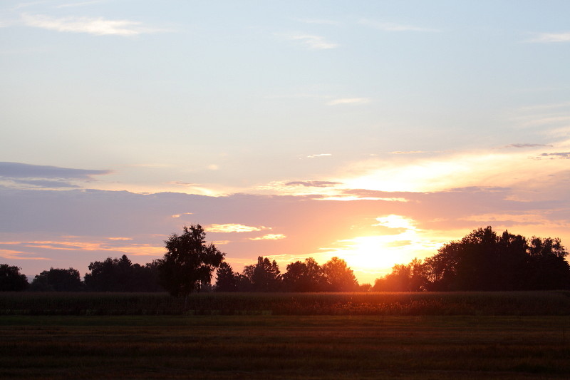Am Abend im Gebiet Rohrspitz Bild 5