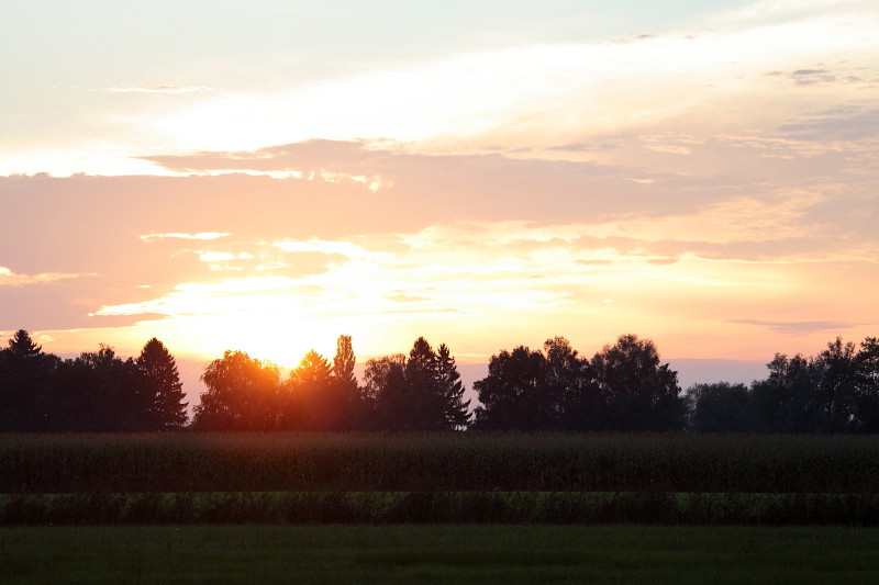 Am Abend im Gebiet Rohrspitz Bild 7