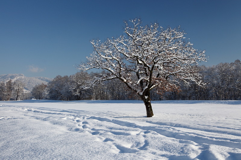 Winterzauber Bild 13