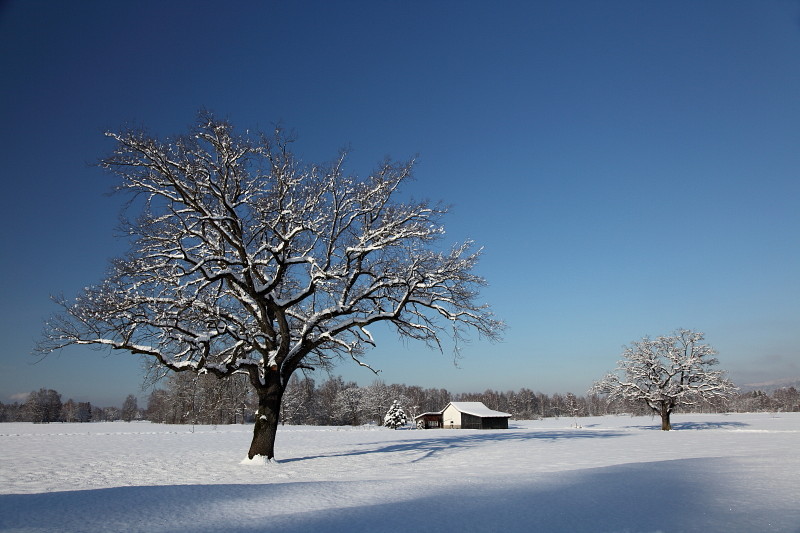 Winterzauber Bild 16