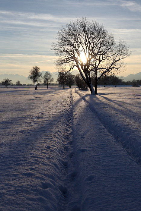 Winterzauber Bild 29