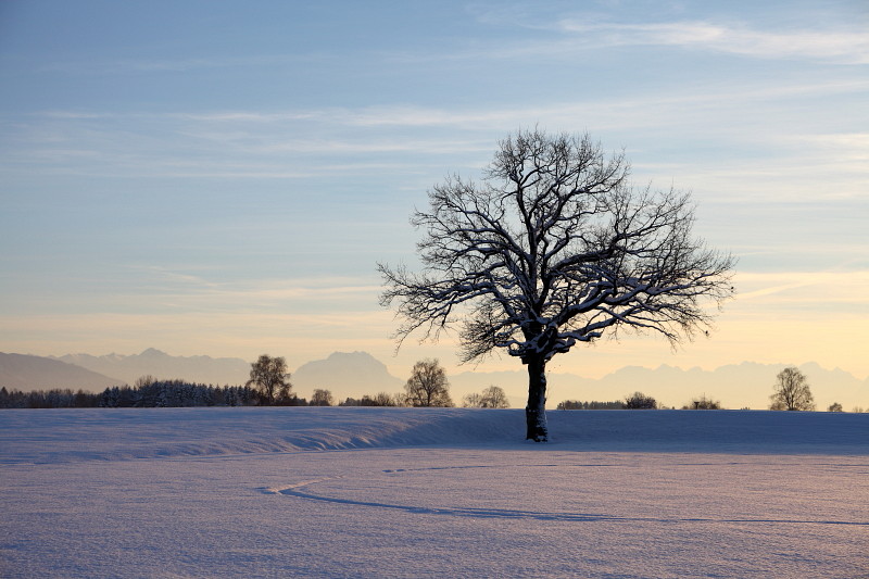 Winterzauber Bild 30