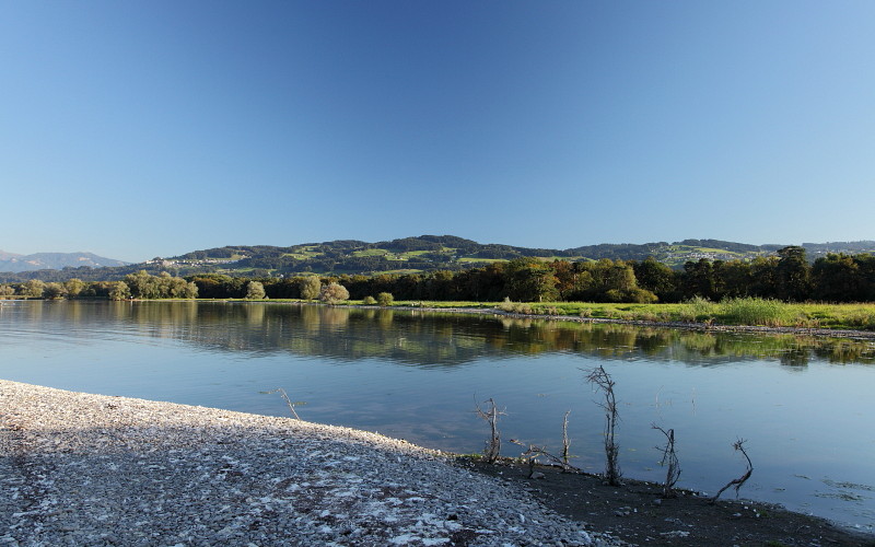 Im Rheinholz mit den Schwänen 3