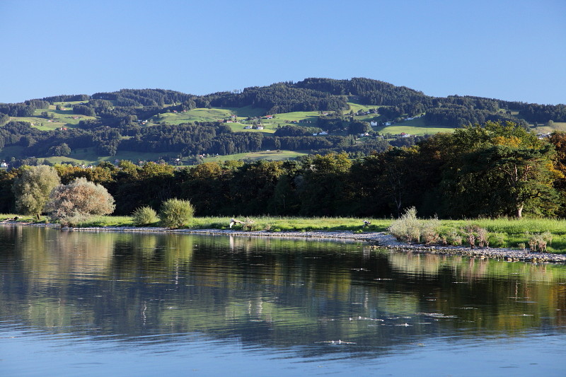 Im Rheinholz mit den Schwänen 15