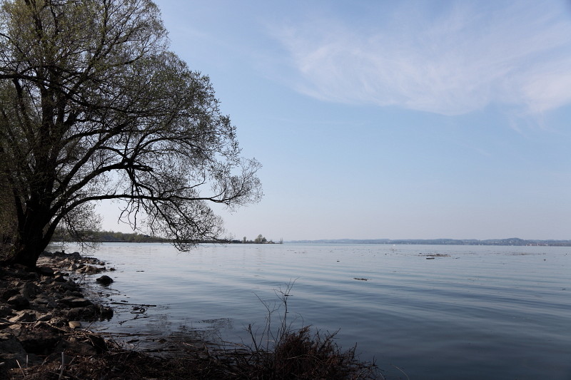Am Bodensee 1