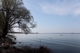 Am Bodensee 1