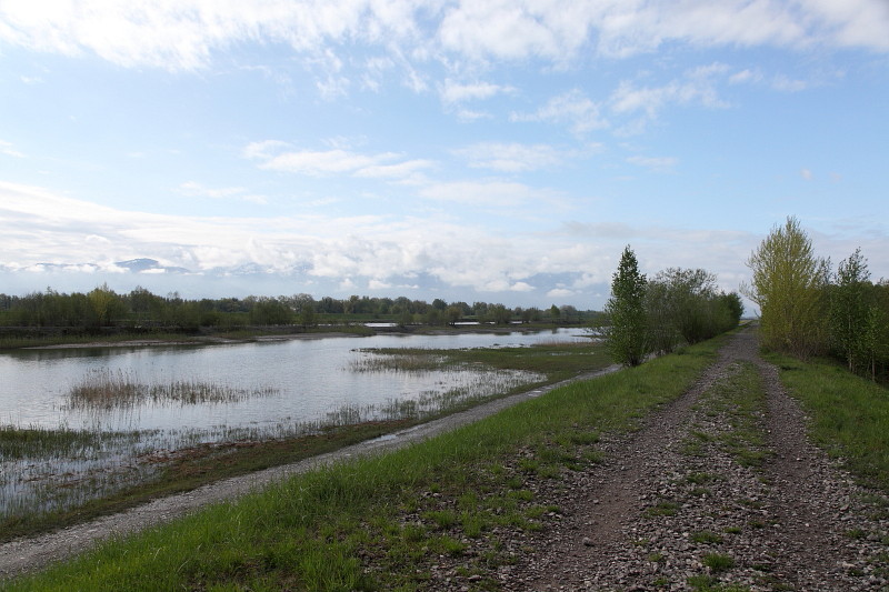 Rund um die Lagune 1