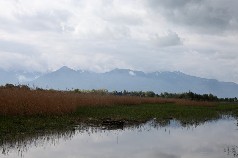 Rund um die Lagune 8