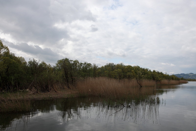 Rund um die Lagune 9