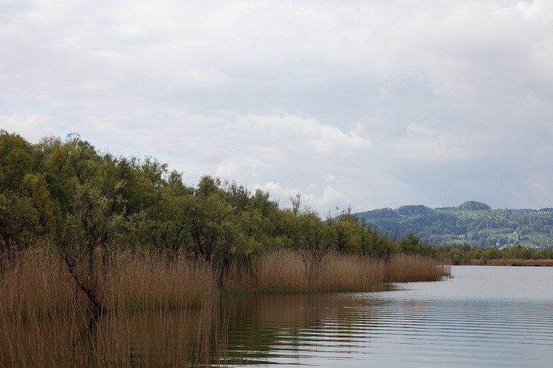 Rund um die Lagune 10