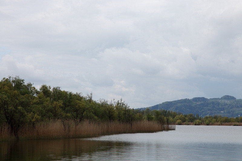 Rund um die Lagune 11