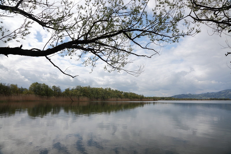 Rund um die Lagune 14