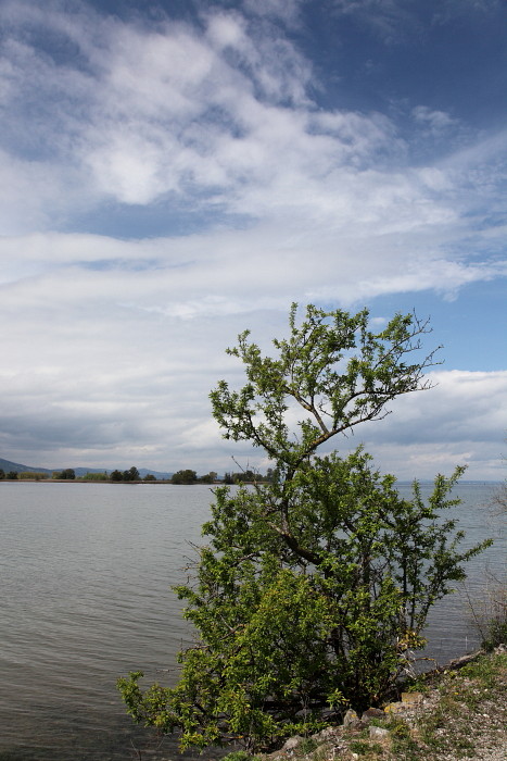 Rund um die Lagune 19