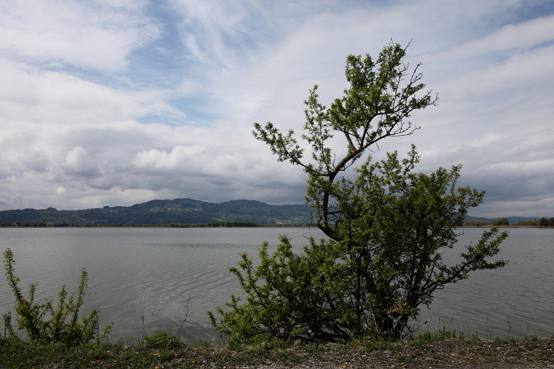 Rund um die Lagune 20