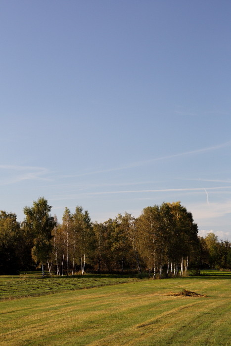 Oktober im Lauteracherried 4