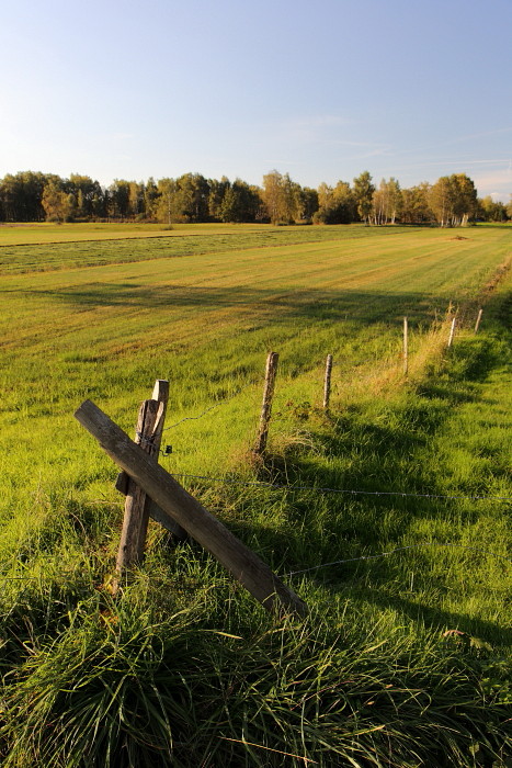 Oktober im Lauteracherried 5