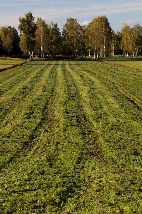 Oktober im Lauteracherried 6