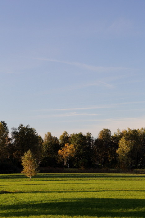 Oktober im Lauteracherried 7