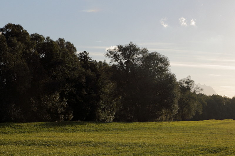 Oktober im Lauteracherried 8