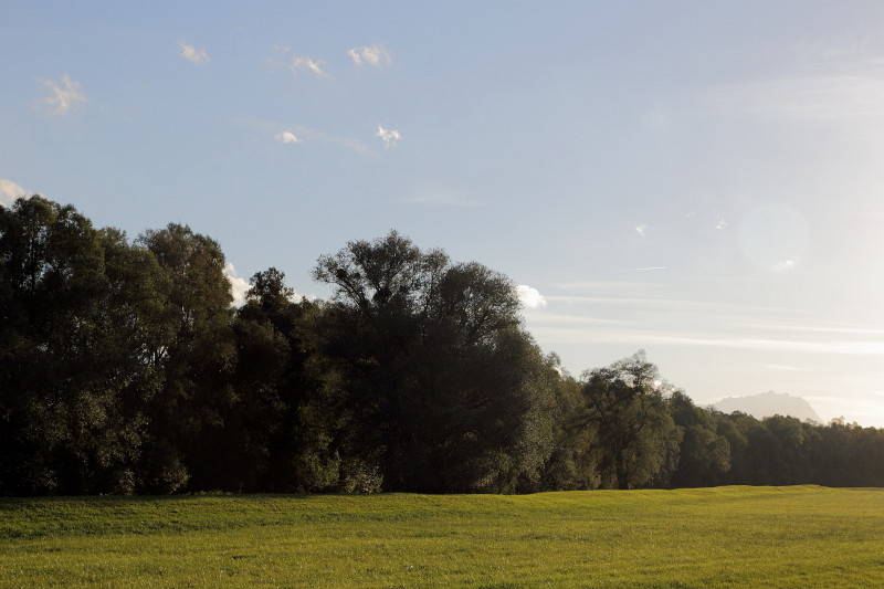 Oktober im Lauteracherried 9