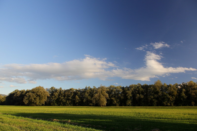 Oktober im Lauteracherried 10