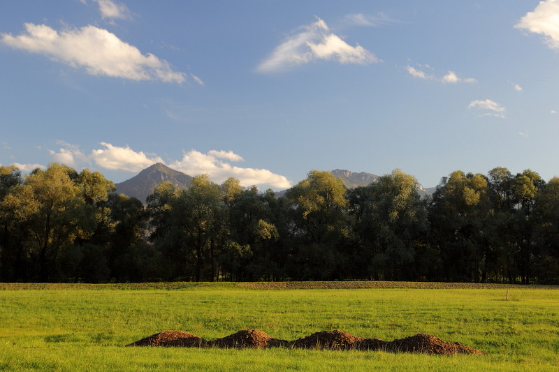 Oktober im Lauteracherried 12