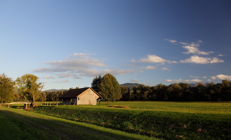 Oktober im Lauteracherried 13