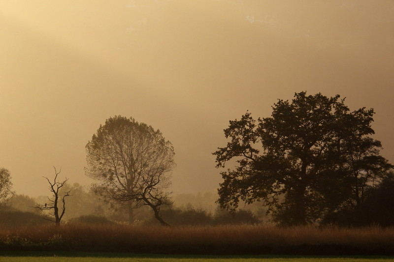Oktober im Lauteracherried 14