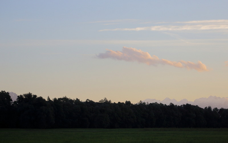 Oktober im Lauteracherried 16