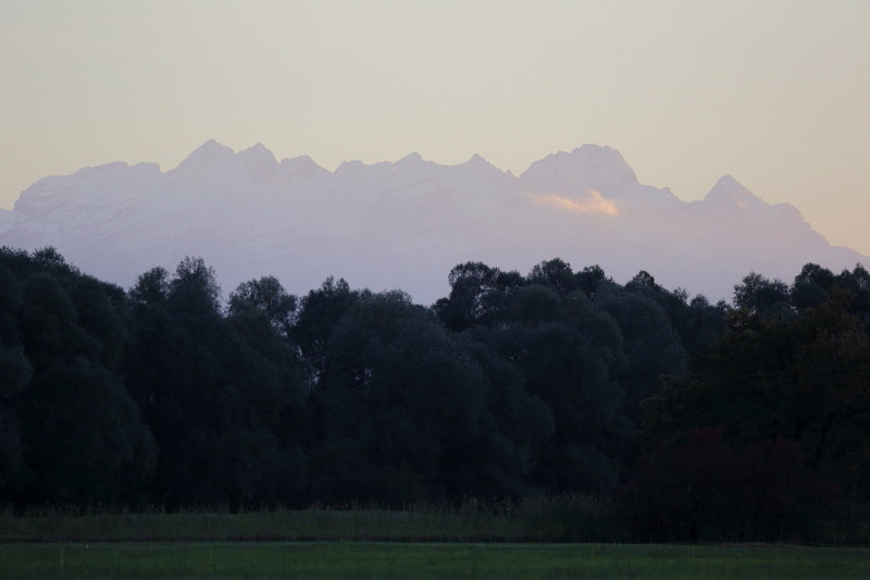 Oktober im Lauteracherried 18