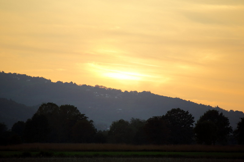 Oktober im Lauteracherried 19