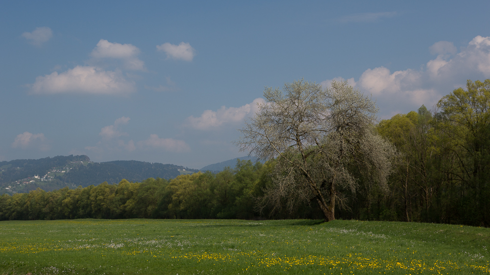 Pano Richtung Bildstein