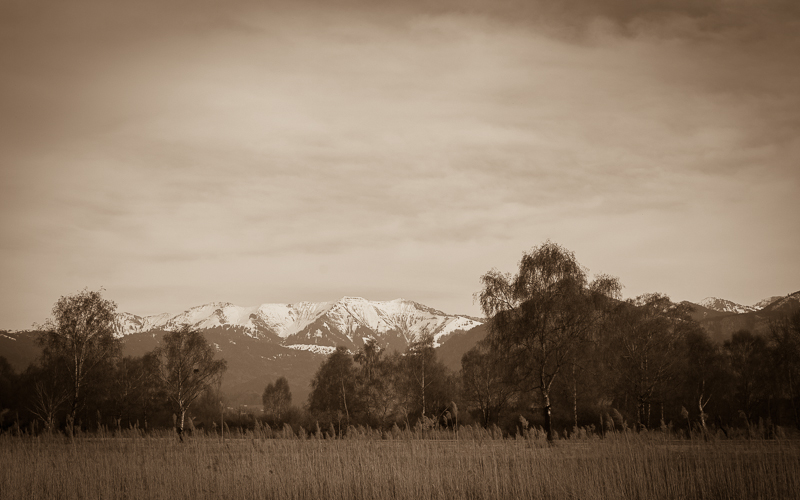 Firstgebiet in Sepia 1