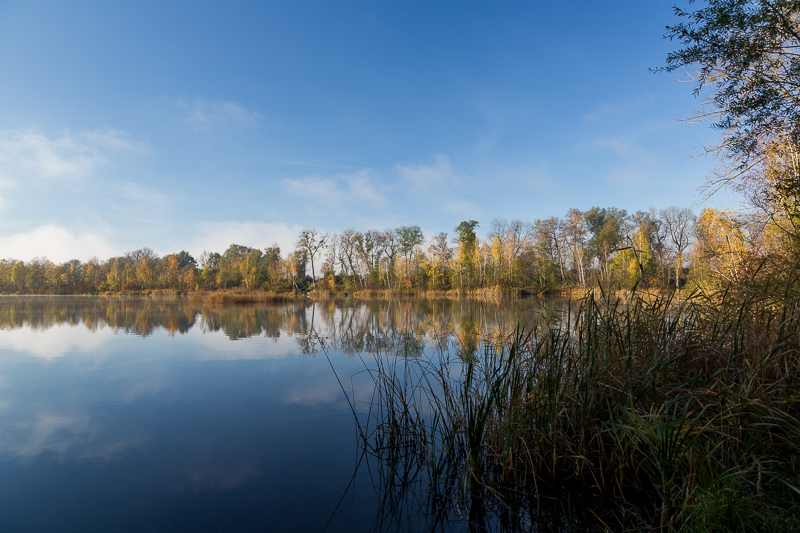 Rheinauen Hohenems 1