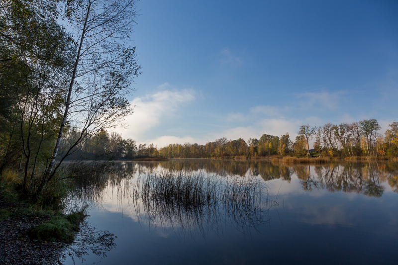Rheinauen Hohenems 2