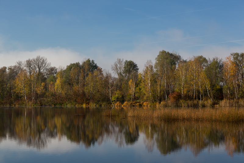 Rheinauen Hohenems 3